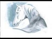 pic for Horse Painting